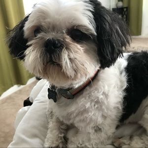 Meet your Posher, Leonor